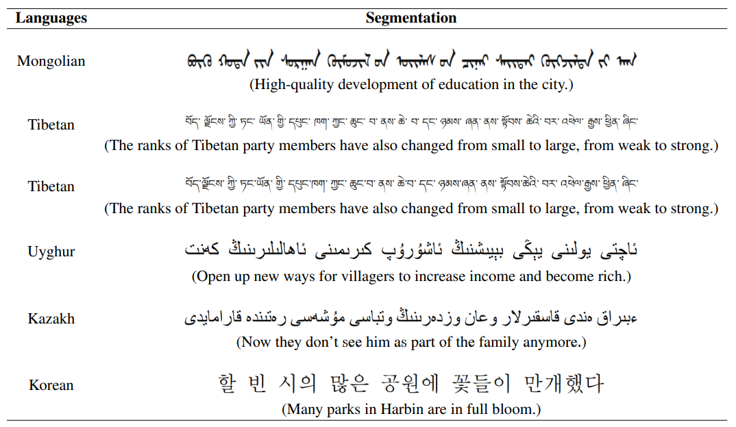 The results of word segmentation in each minority language.